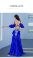 画像5: ベリーダンス衣装コスチューム--ブラ＋スカートYC100 (5)